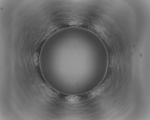 X0000086940273200704231405