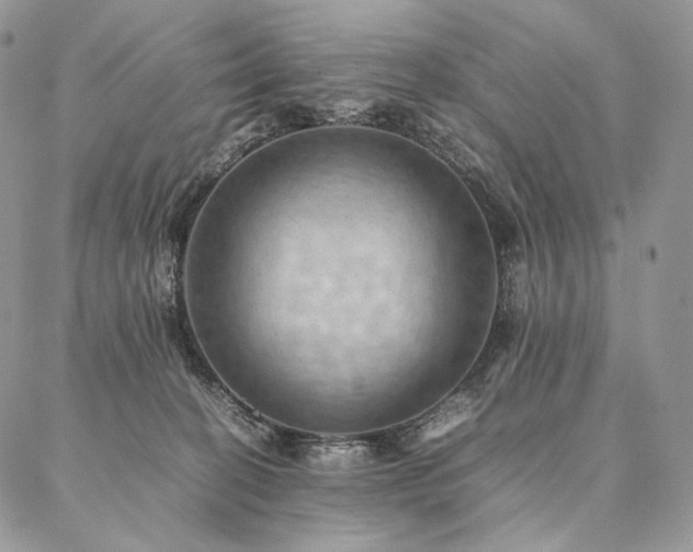 X0000086940274200704231405