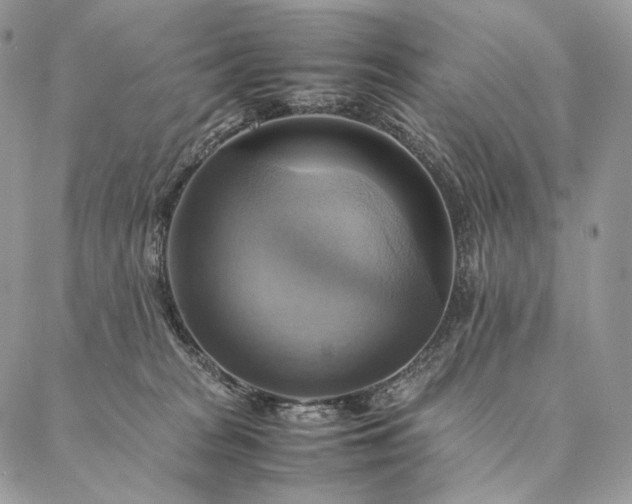 X0000086940277200704231405