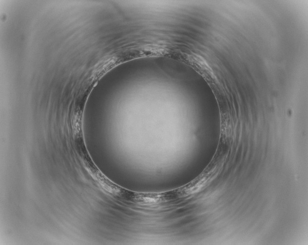 X0000086940285200704231405