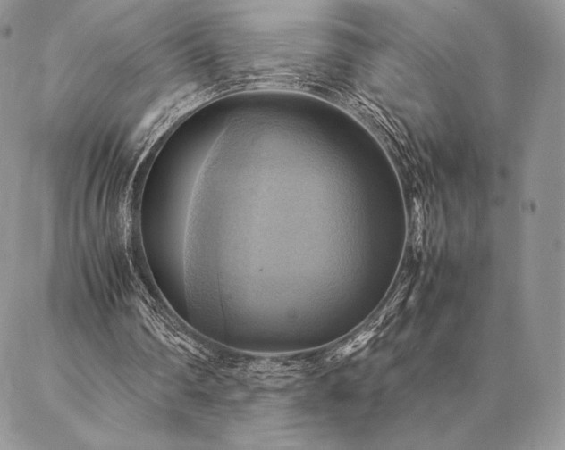 X0000086940290200704231404
