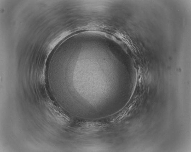 X0000086940292200704231404