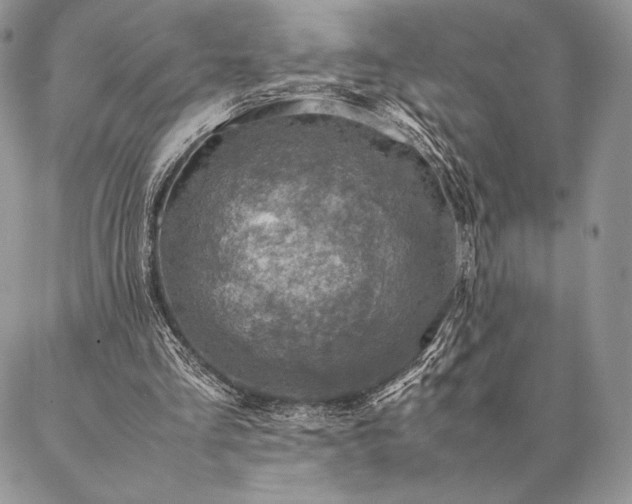X0000086940293200704231404
