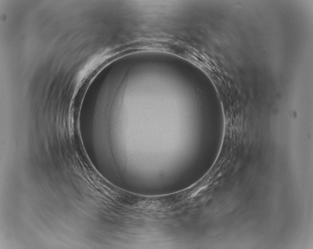 X0000086940294200704231404