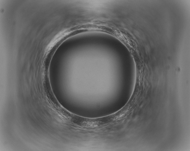 X0000086940295200704231404