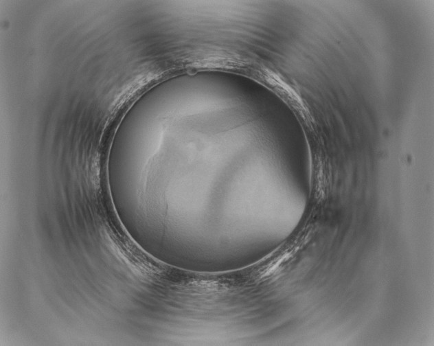 X0000086940298200704231404