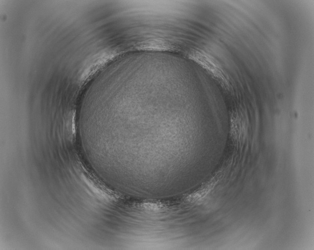 X0000086940302200704231404
