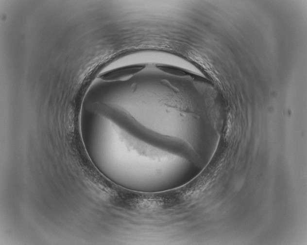 X0000086940303200704231404