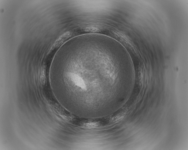X0000086940312200704231404