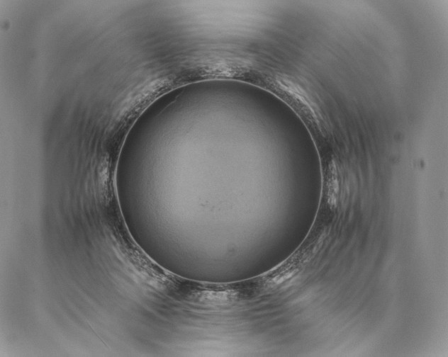 X0000086940314200704231404