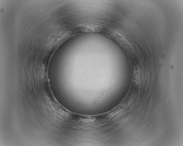 X0000086940318200704231404
