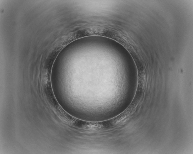 X0000086940323200704231404