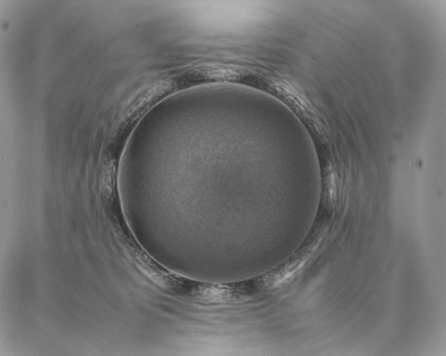 X0000086940325200704231404