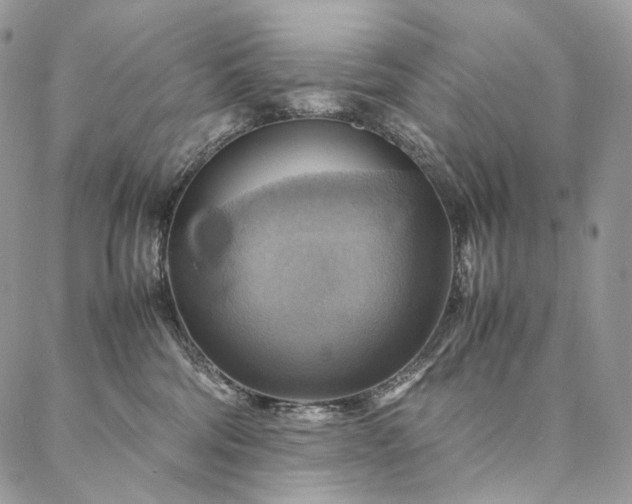 X0000086940330200704231404