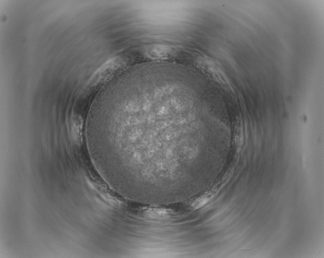 X0000086940332200704231404