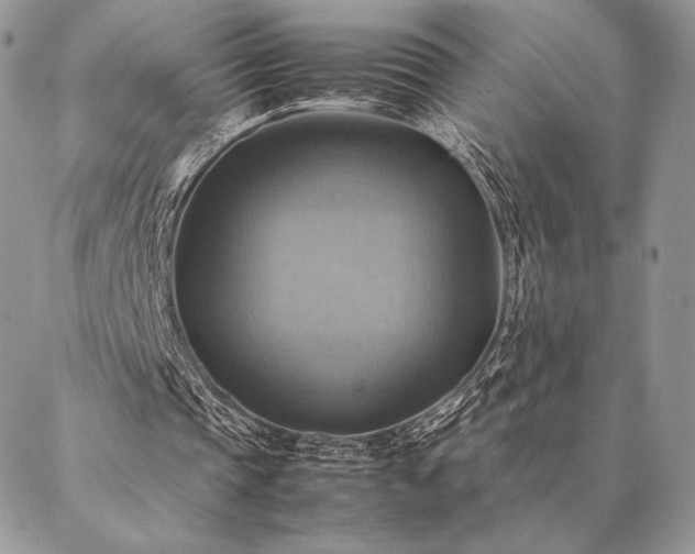 X0000086940337200704231403