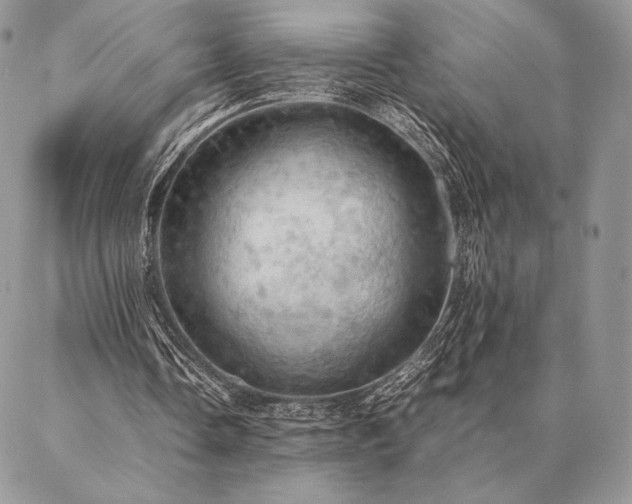 X0000086940338200704231403