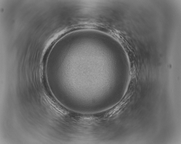 X0000086940342200704231403