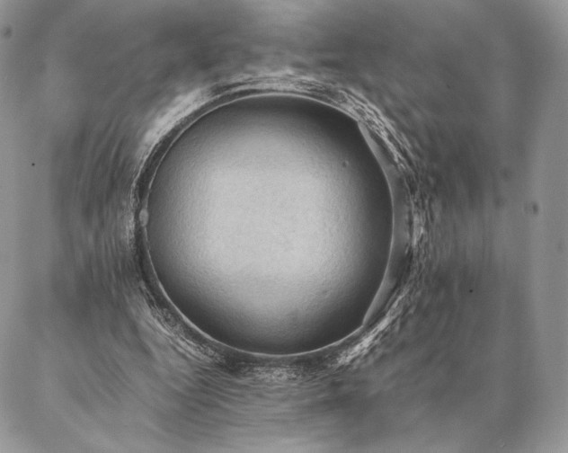 X0000086940344200704231403