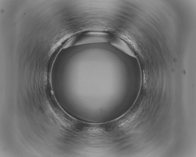 X0000086940348200704231403