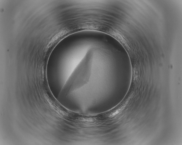 X0000086940349200704231403