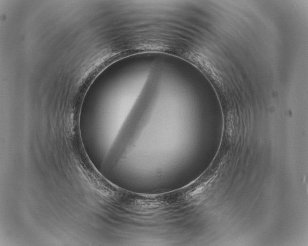 X0000086940351200704231403
