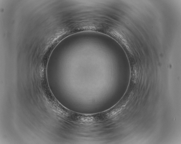 X0000086940355200704231403