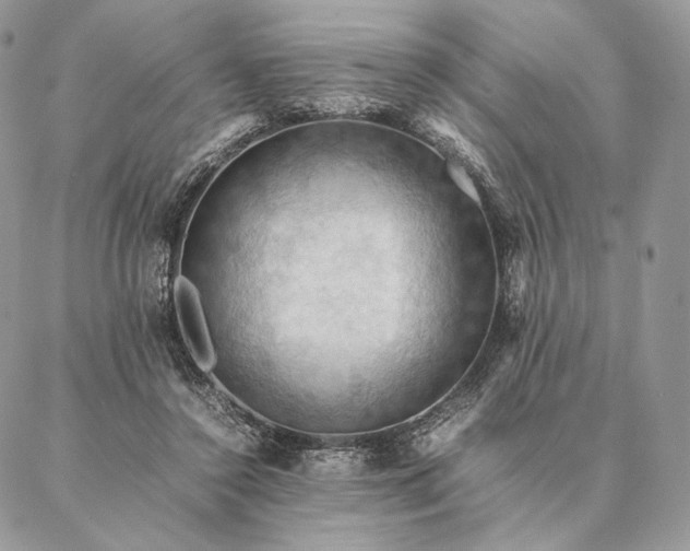 X0000086940356200704231403