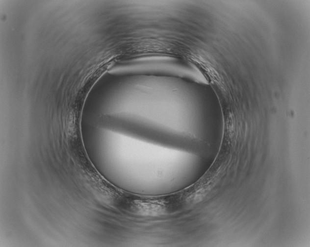 X0000086940359200704231403