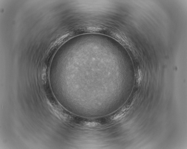 X0000086940360200704231403