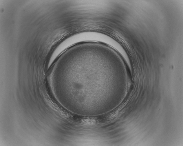 X0000086940362200704231403