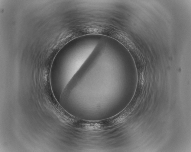 X0000086940363200704231403