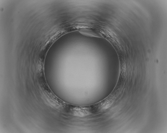 X0000086940367200704231403