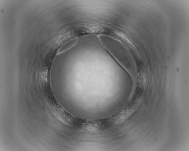 X0000086940368200704231403