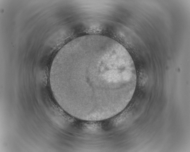 X0000086940370200704231403