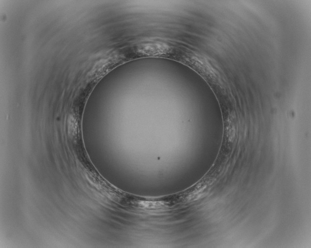 X0000086940371200704231403