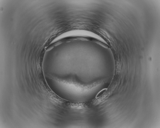 X0000086940377200704231403