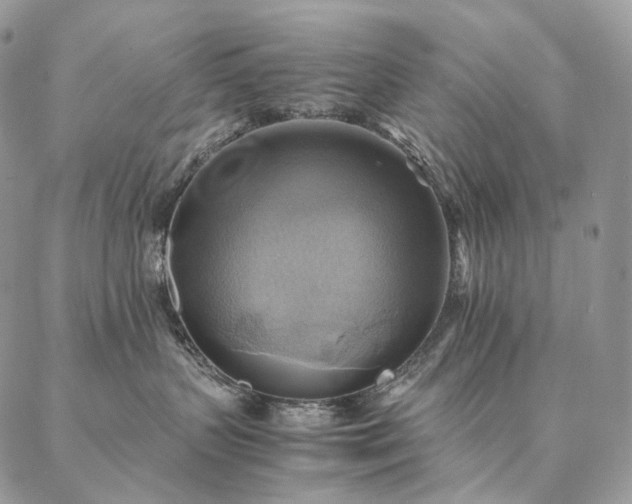X0000086940383200704231404