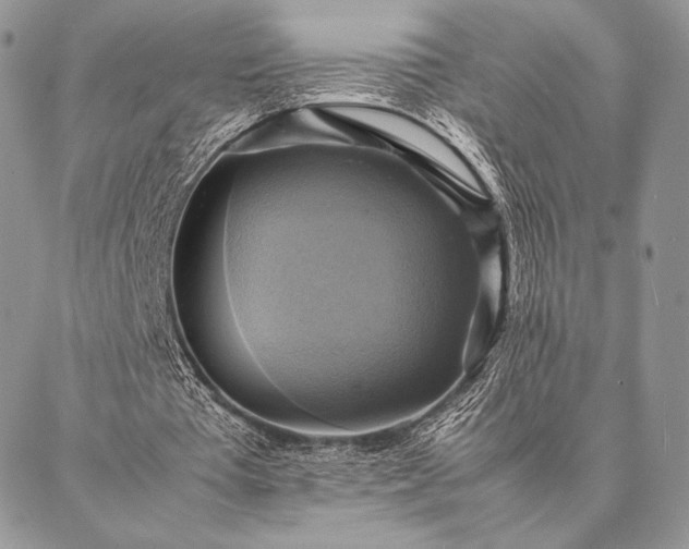 X0000086940385200704231403