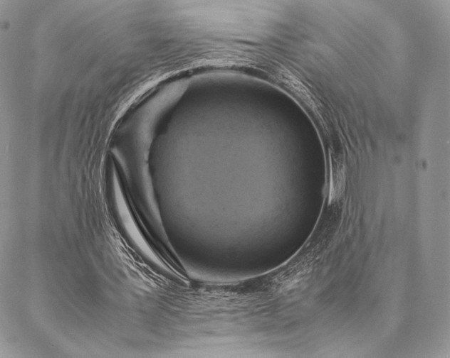 X0000086940387200704231403