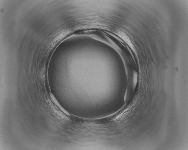 X0000086940389200704231403