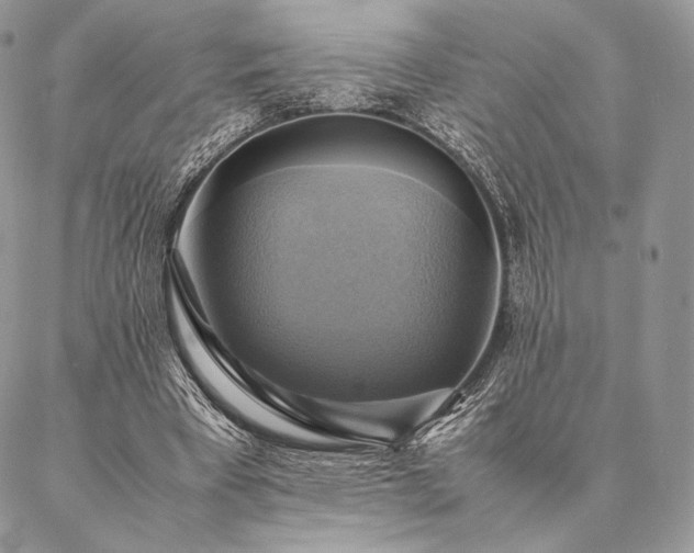 X0000086940393200704231403