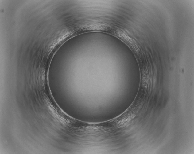 X0000086940394200704231403