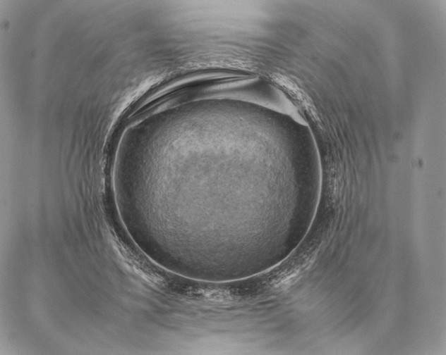X0000086940395200704231403
