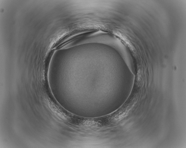 X0000086940399200704231403