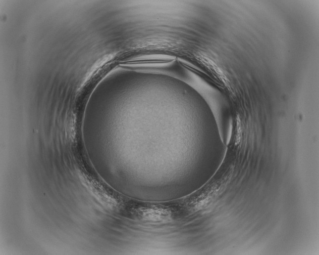 X0000086940400200704231403