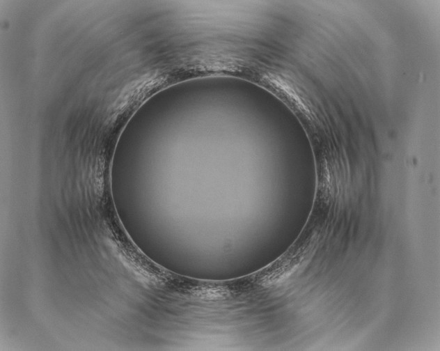 X0000086940402200704231402