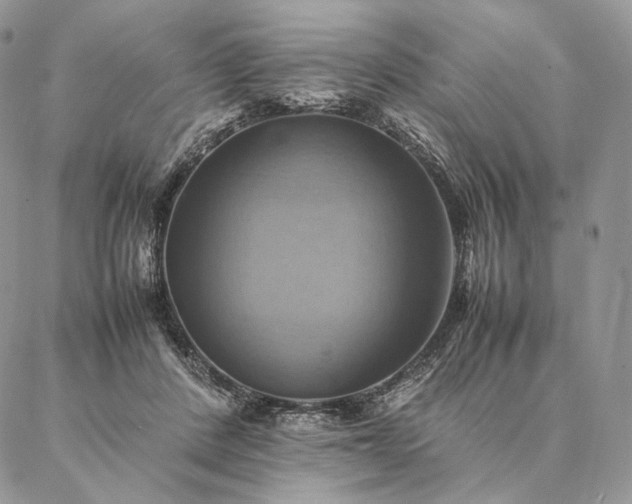 X0000086940408200704231402