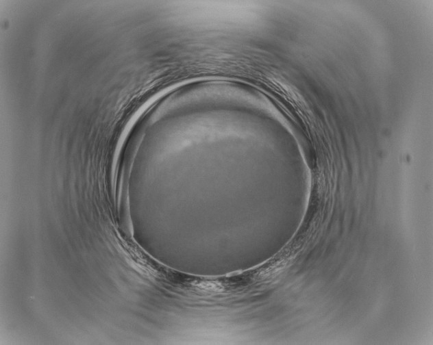 X0000086940409200704231402
