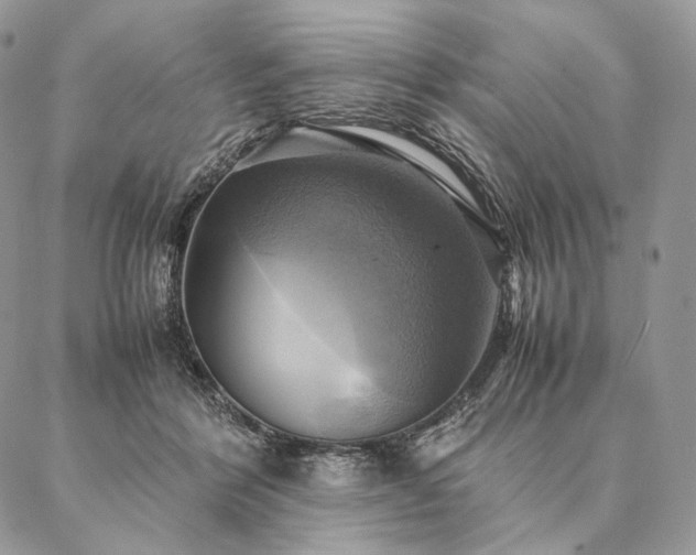 X0000086940412200704231402